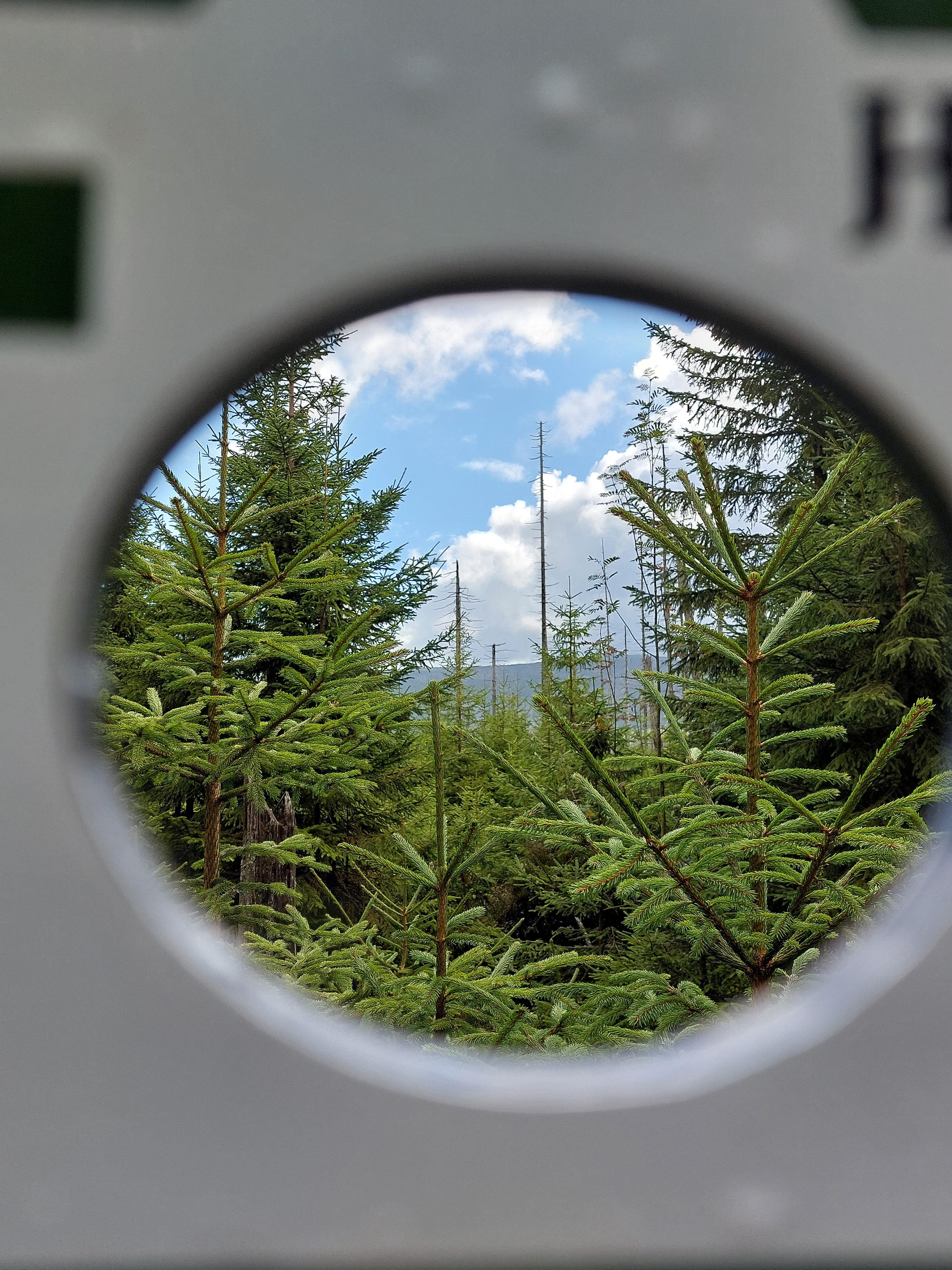 Torfhaus/Nationalpark Harz Exkursion der Klasse 7c Torfhaus/Nationalpark Harz Exkursion der Klasse 7c