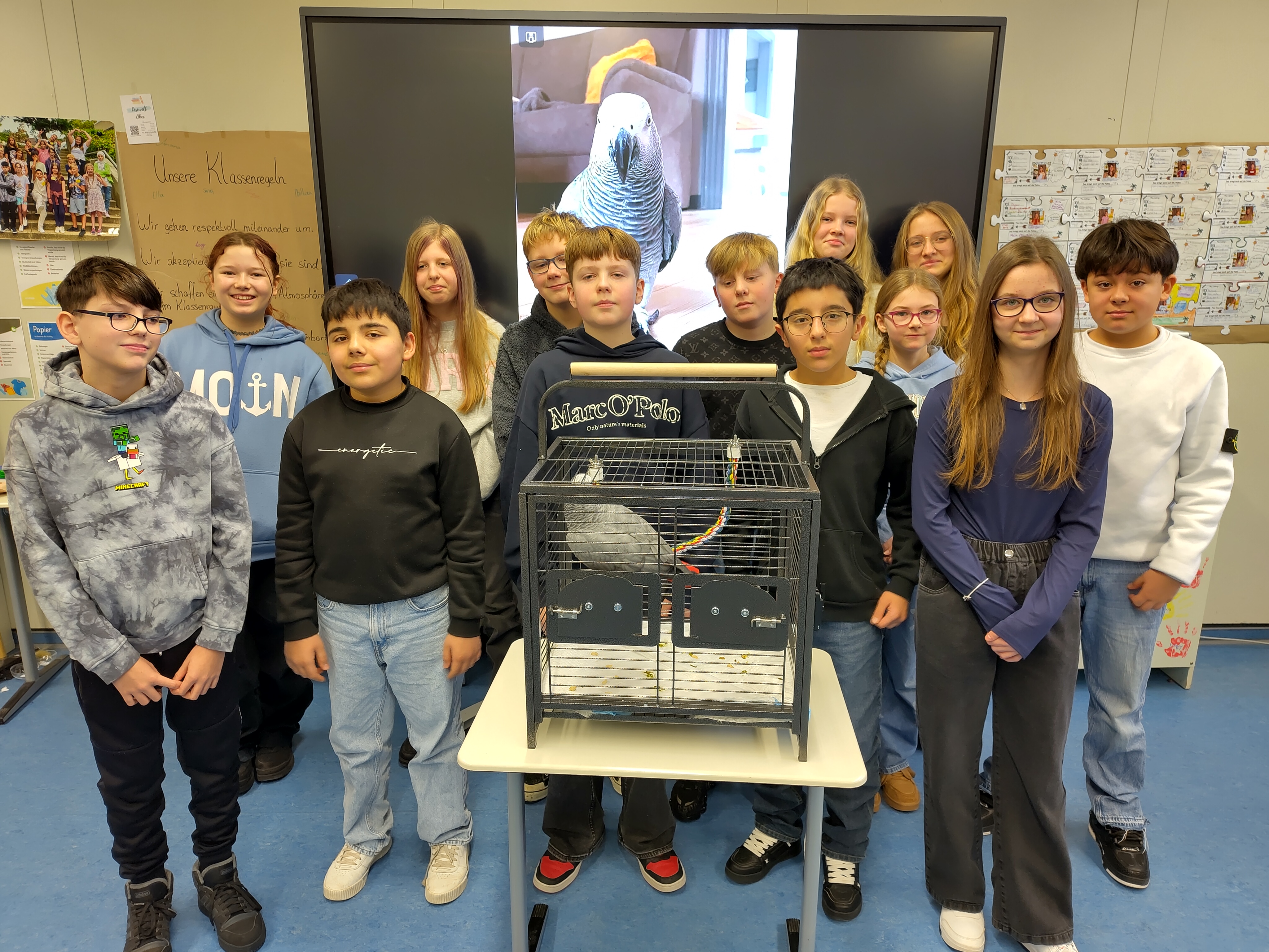 Meine Graupapageiendame Haley